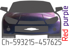 Red purple chameleon Ch-593215-457625